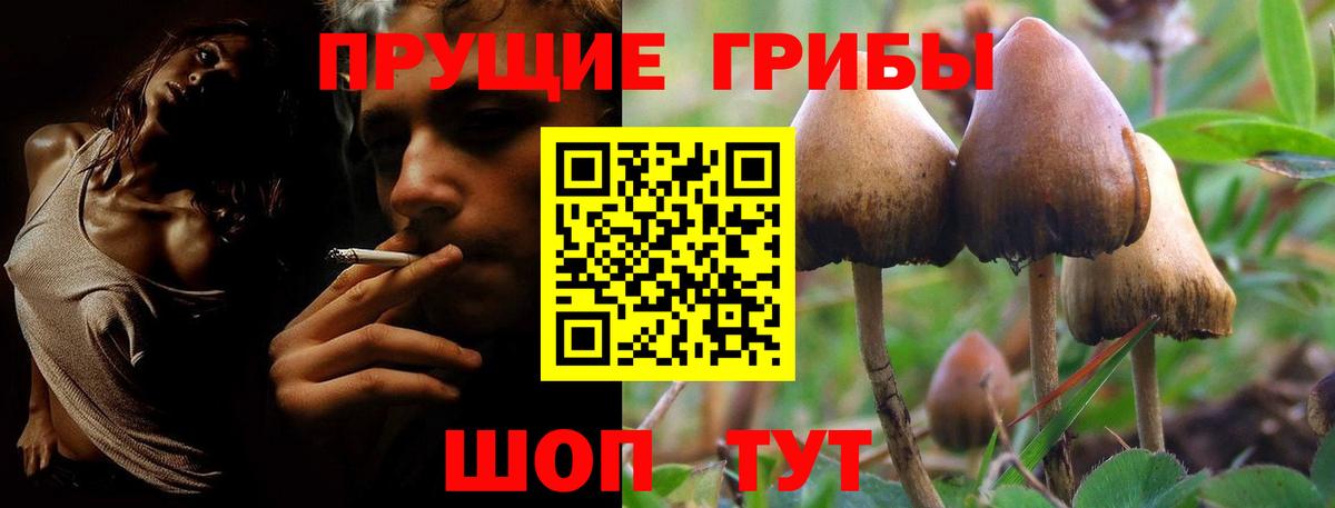 Псилоцибиновые грибы прущие грибы  Вход с VPN  Когалым 